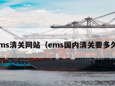 ems清关网站（ems国内清关要多久）