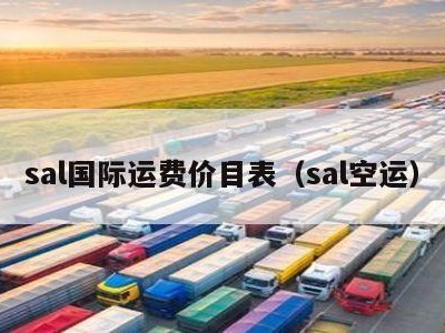 sal国际运费价目表（sal空运）