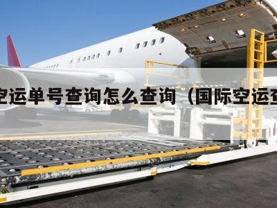 国际空运单号查询怎么查询（国际空运查询网站）