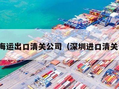 深圳海运出口清关公司（深圳进口清关公司）