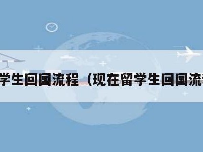 留学生回国流程（现在留学生回国流程）