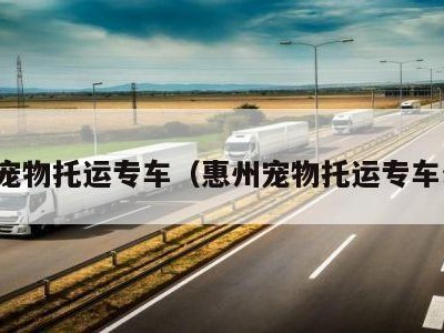 惠州宠物托运专车（惠州宠物托运专车公司）