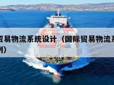 国际贸易物流系统设计（国际贸易物流系统设计案例）