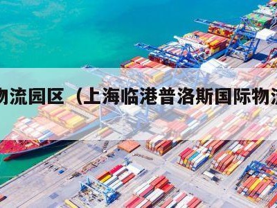 国际物流园区（上海临港普洛斯国际物流园区）