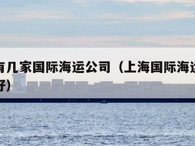 上海有几家国际海运公司（上海国际海运货代哪家好）