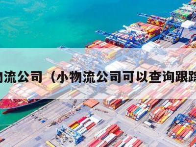 小物流公司（小物流公司可以查询跟踪吗）