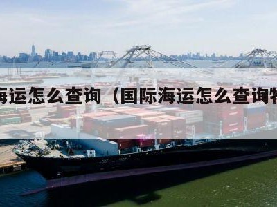 国际海运怎么查询（国际海运怎么查询物流信息）