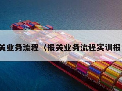 报关业务流程（报关业务流程实训报告）