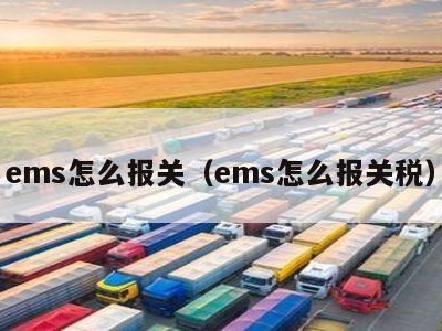 ems怎么报关（ems怎么报关税）