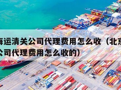 北京海运清关公司代理费用怎么收（北京海运清关公司代理费用怎么收的）