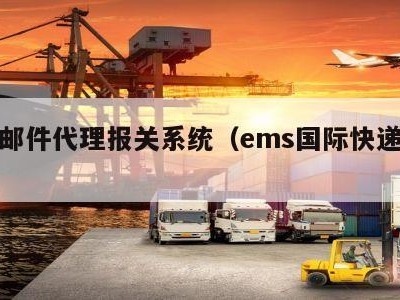 个人邮件代理报关系统（ems国际快递报关）