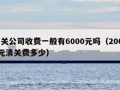 清关公司收费一般有6000元吗（20000元清关费多少）