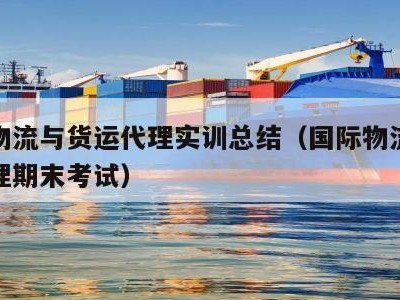 国际物流与货运代理实训总结（国际物流与货运代理期末考试）