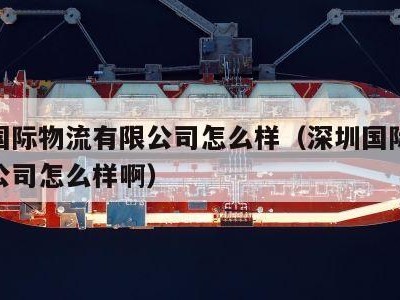 深圳国际物流有限公司怎么样（深圳国际物流有限公司怎么样啊）