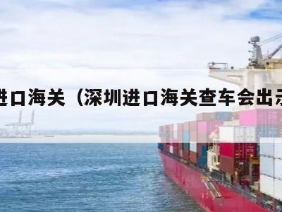 深圳进口海关（深圳进口海关查车会出示什么证明）