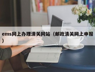 ems网上办理清关网站（邮政清关网上申报）