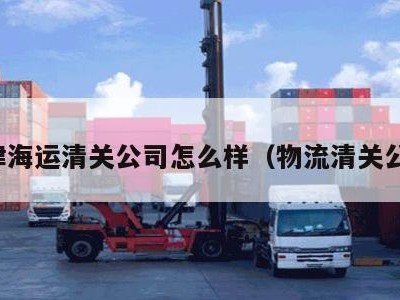 天津海运清关公司怎么样（物流清关公司）