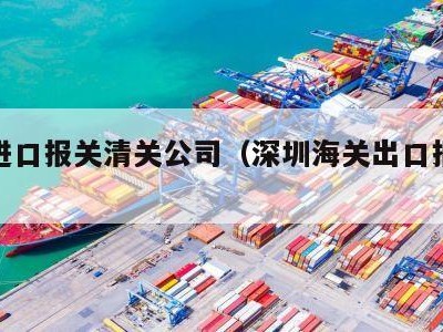 深圳进口报关清关公司（深圳海关出口报关公司）