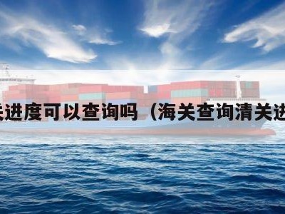 清关进度可以查询吗（海关查询清关进度）