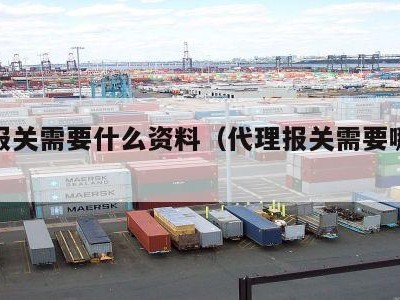 代理报关需要什么资料（代理报关需要哪些资料）