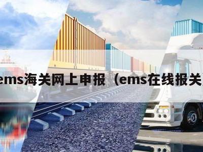 ems海关网上申报（ems在线报关）