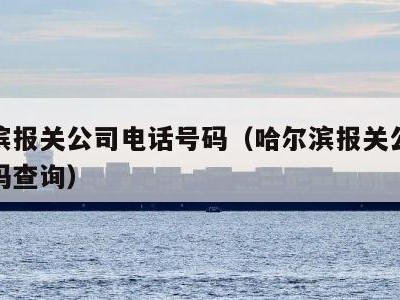 哈尔滨报关公司电话号码（哈尔滨报关公司电话号码查询）