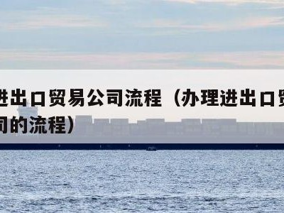 申请进出口贸易公司流程（办理进出口贸易有限公司的流程）