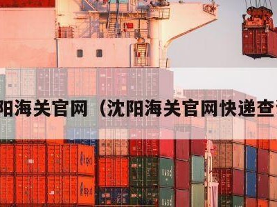 沈阳海关官网（沈阳海关官网快递查询）