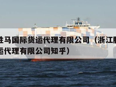 浙江胜马国际货运代理有限公司（浙江胜马国际货运代理有限公司知乎）