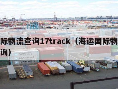 国际物流查询17track（海运国际物流查询）