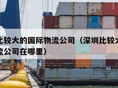 深圳比较大的国际物流公司（深圳比较大的国际物流公司在哪里）