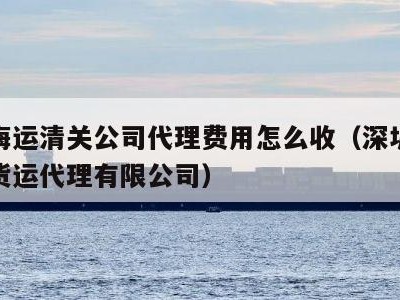 深圳海运清关公司代理费用怎么收（深圳市清关易货运代理有限公司）