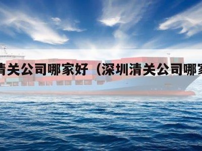 深圳清关公司哪家好（深圳清关公司哪家好一点）