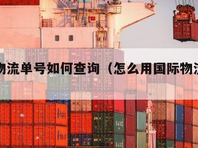 国际物流单号如何查询（怎么用国际物流单号查询）