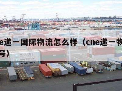 cne递一国际物流怎么样（cne递一物流单号）