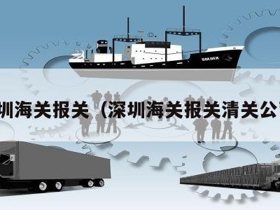 深圳海关报关（深圳海关报关清关公司）