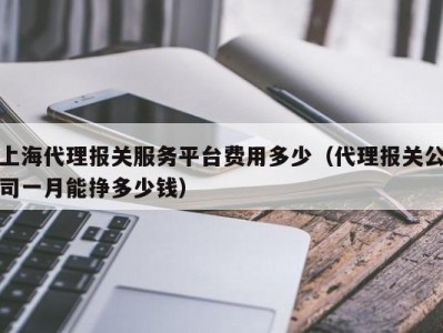 上海代理报关服务平台费用多少（代理报关公司一月能挣多少钱）