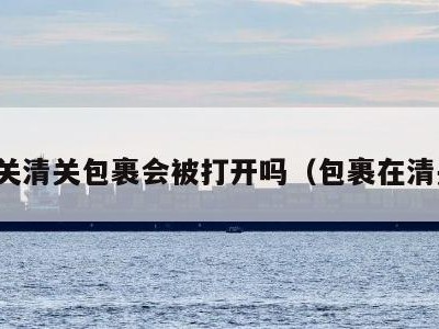 海关清关包裹会被打开吗（包裹在清关）