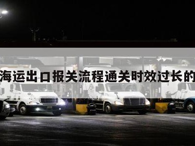 关于海运出口报关流程通关时效过长的信息