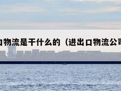 进出口物流是干什么的（进出口物流公司挣钱吗）