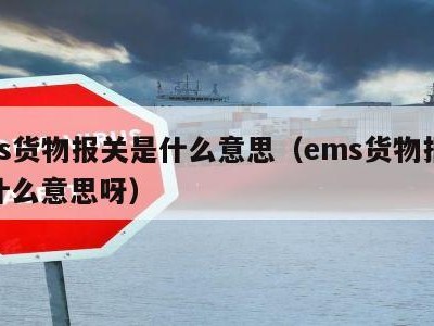 ems货物报关是什么意思（ems货物报关是什么意思呀）