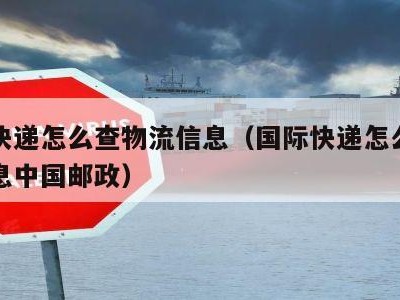 国际快递怎么查物流信息（国际快递怎么查物流信息中国邮政）