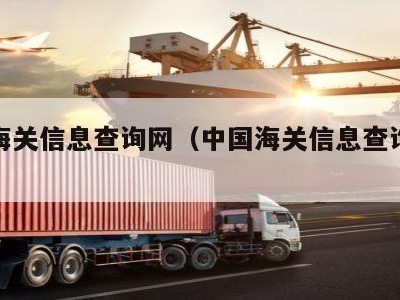 中国海关信息查询网（中国海关信息查询网站）