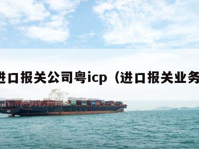 进口报关公司粤icp（进口报关业务）